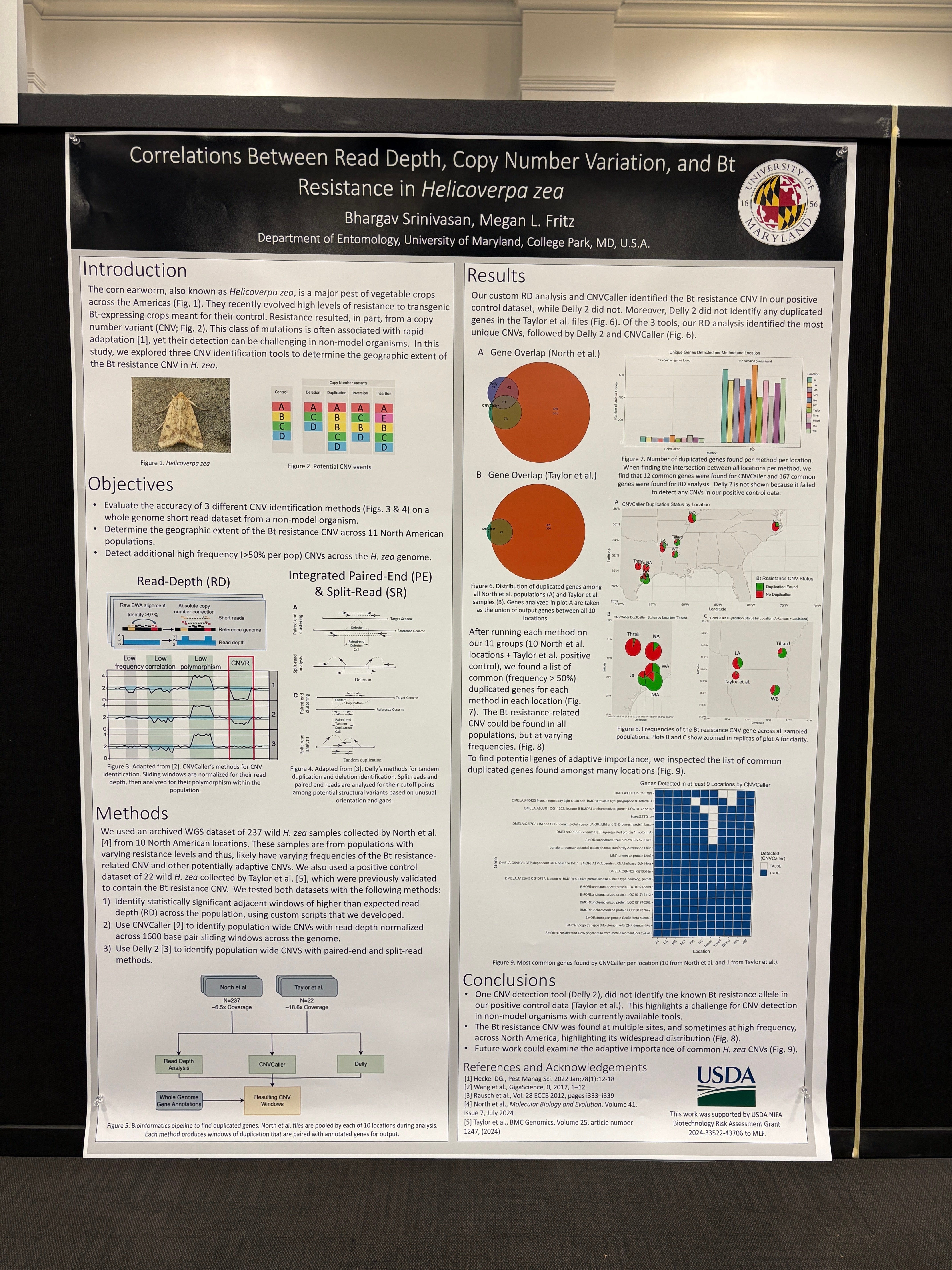Photo of research poster