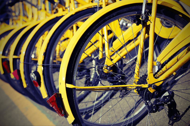 close up of row of bike wheels