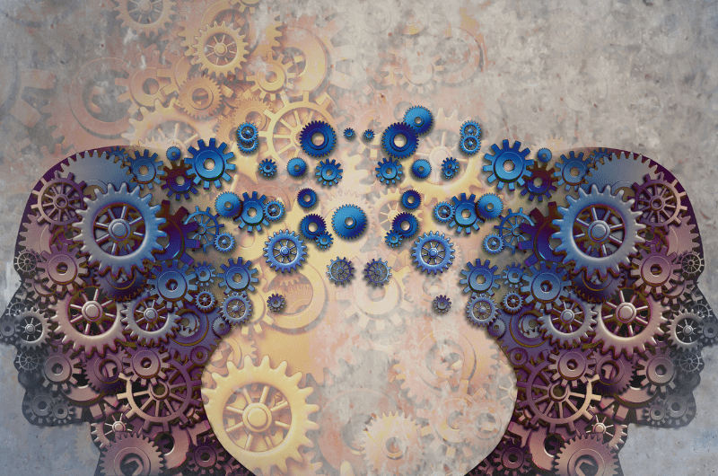 illustration of brain and gears