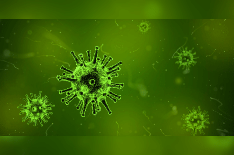 virus