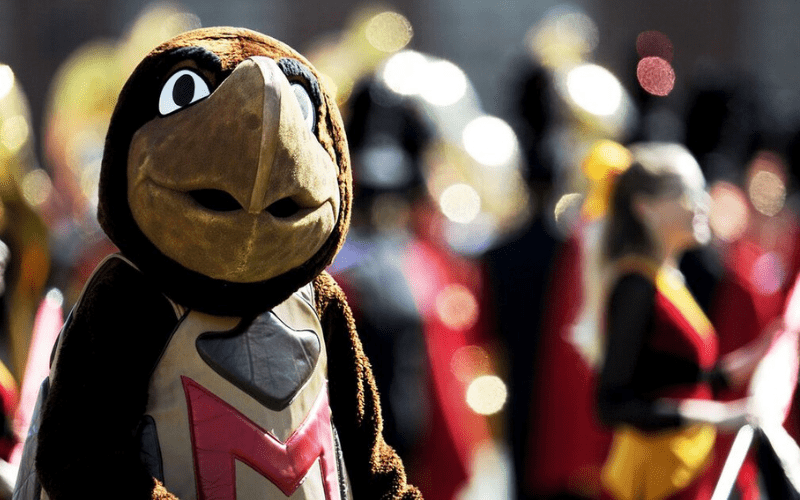 Testudo at football game