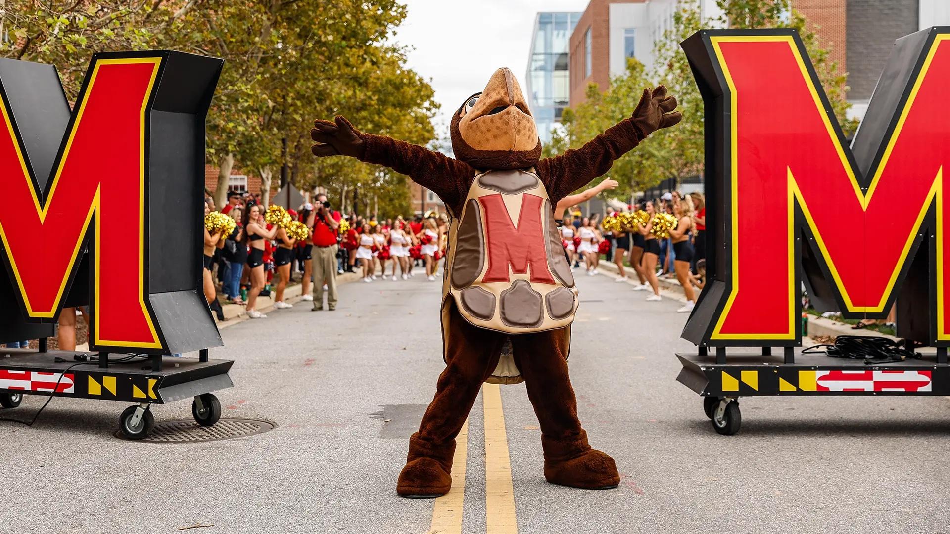 UMD mascot Testudo standing in the street between two large M signs