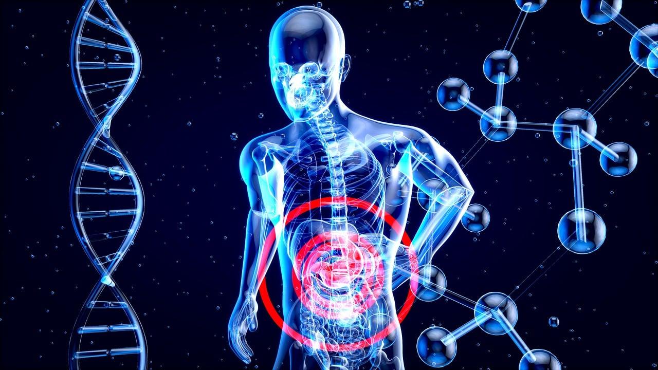 Digital graphic of internal human organs, DNA, and molecules