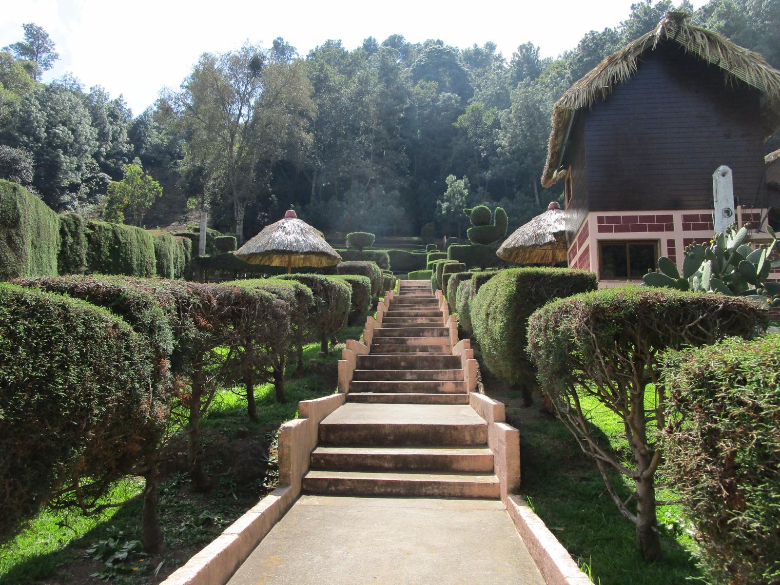 Photo of staircase and greenery in Guatemala