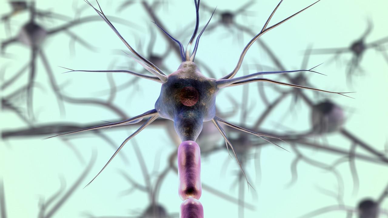 Graphic representation of a gray and purple neurons against a light turquoise background