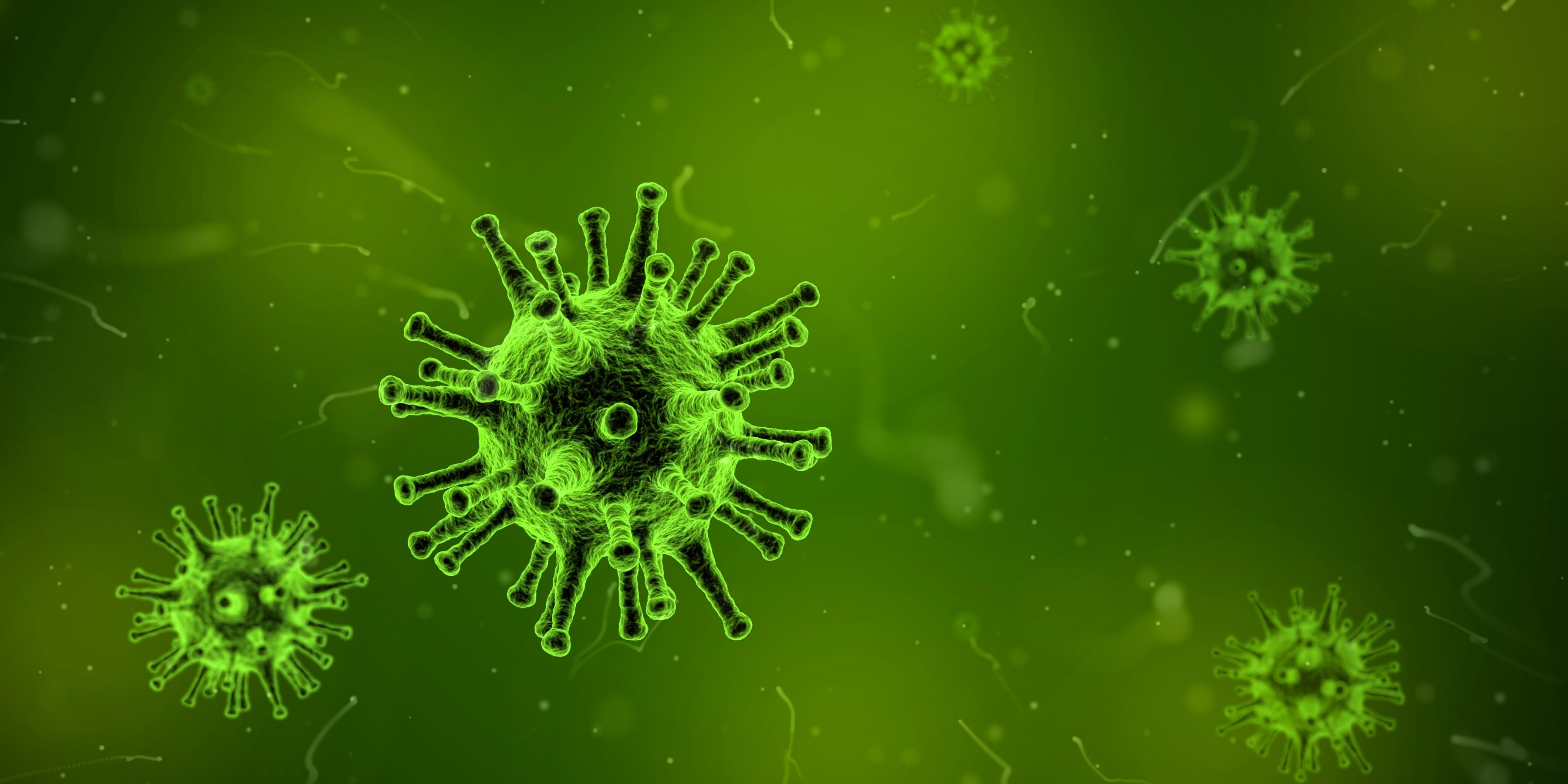Digital image of a green virus